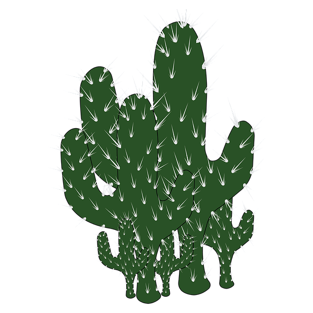 Free cacti thorns plant illustration