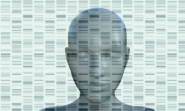 Download free HD stock image of Human Avatar Free human avatar head illustration