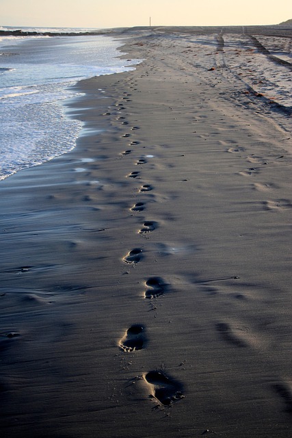 Free Sand Sea photo and picture