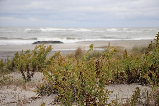 Free Ocean Sea photo and picture