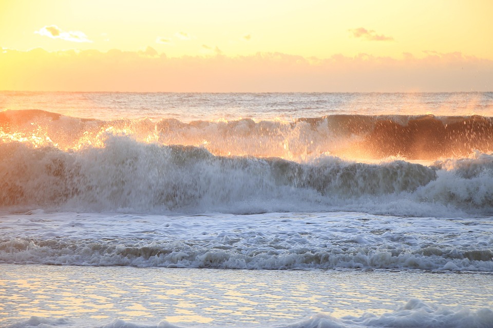 beach-5922984_960_720.jpg