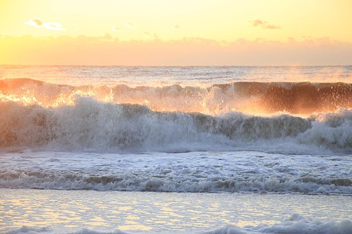 Free Beach Waves photo and picture