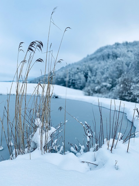 Free Cold Frozen photo and picture