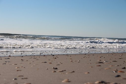 Free Sand Shells photo and picture