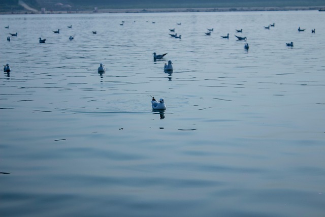 Free Ganges India photo and picture