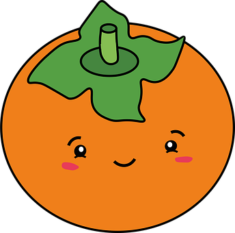 Free Orange Fruit vector and picture