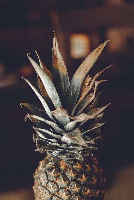 Frugt, Ananas, Frisk, Frisk Frugt