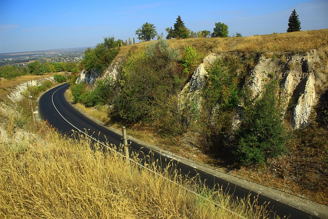 Free Roads Travels photo and picture