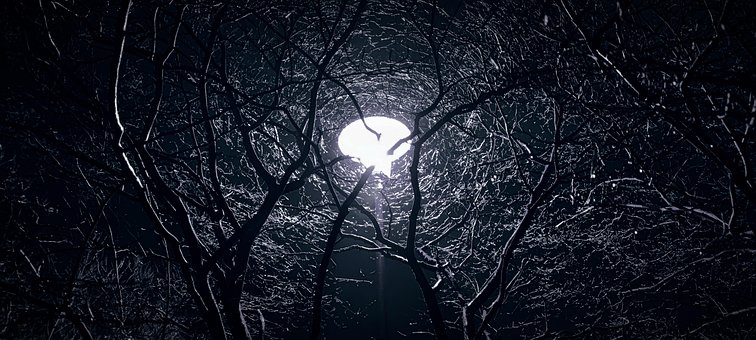 Free Lantern Street Lamp photo and picture