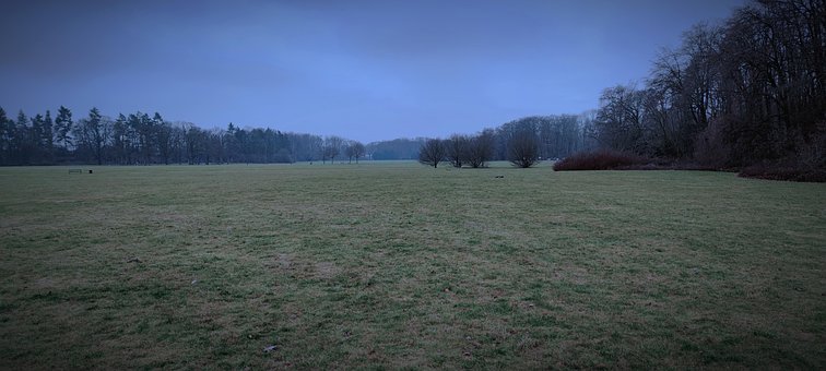 Free Meadow Wet photo and picture