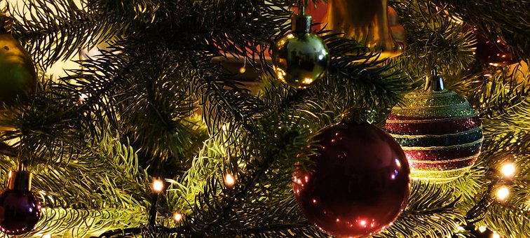 Free Christmas Christmas Tree photo and picture