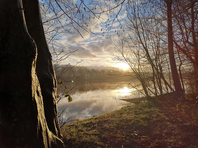 Free Water Lake photo and picture