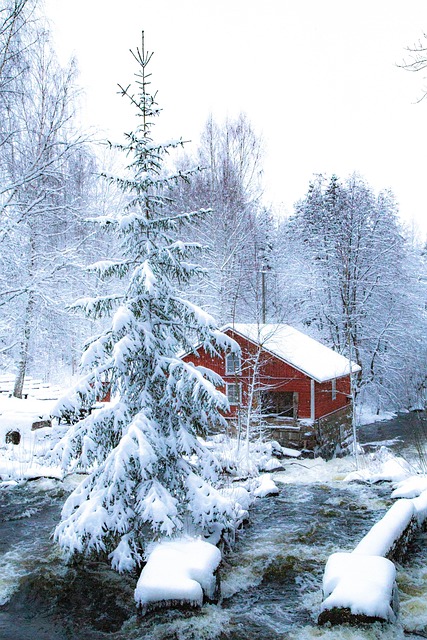Winter, Schnee, Natur, Kalt, Weiß