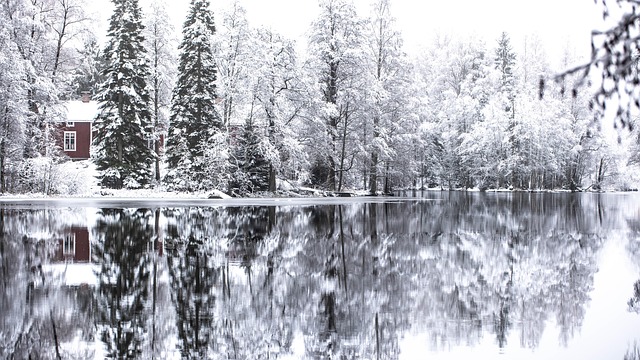 Schnee, See, Bäume, Haus, Haus Am See