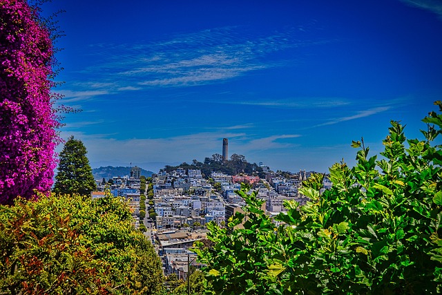 Free San Francisco Tower Telegraph Hill photo and picture