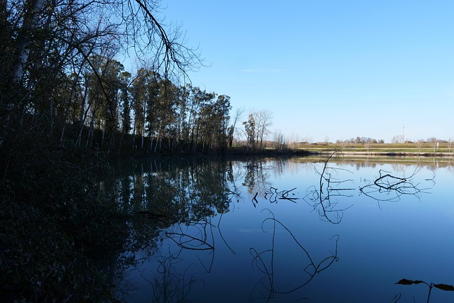 Free Water Lake photo and picture