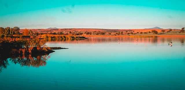 Free Campo Tarde photo and picture