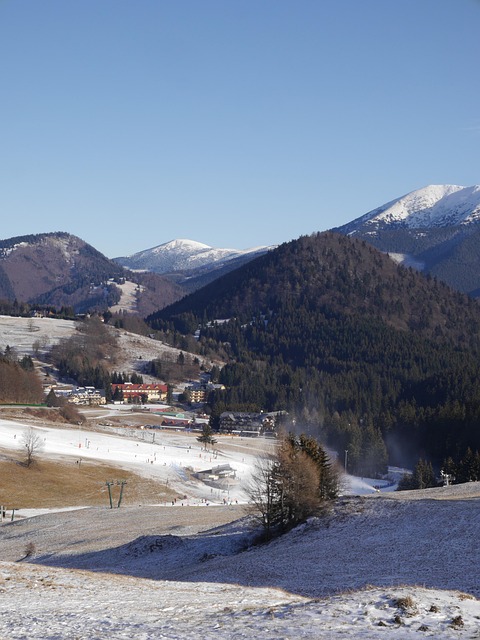 Free Mountains The Snow photo and picture