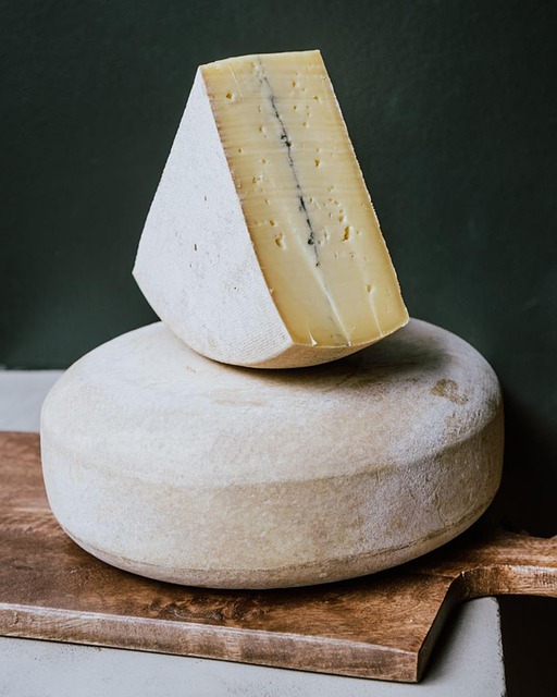 Free Cheese Food photo and picture