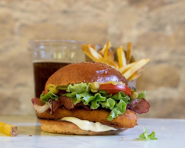 Free Burger Hamburger photo and picture