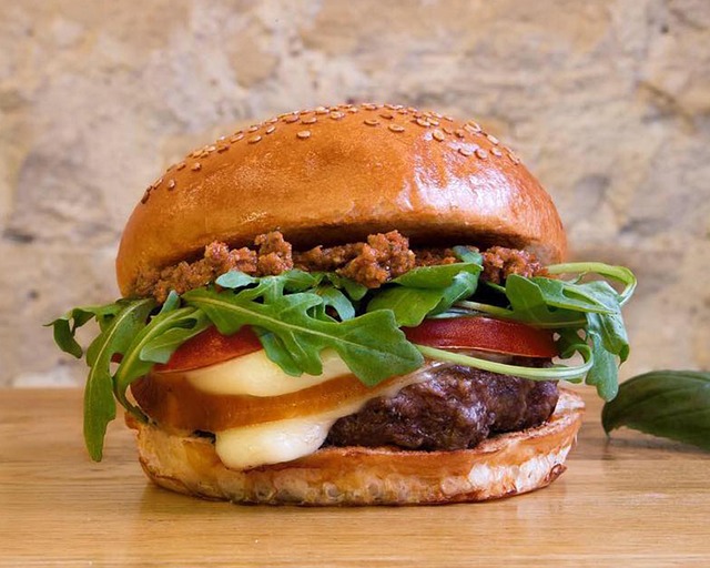 Free Burger Hamburger photo and picture