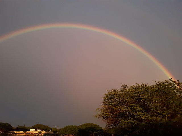 Arcoíris Después De La Lluvia - Foto gratis en Pixabay - Pixabay