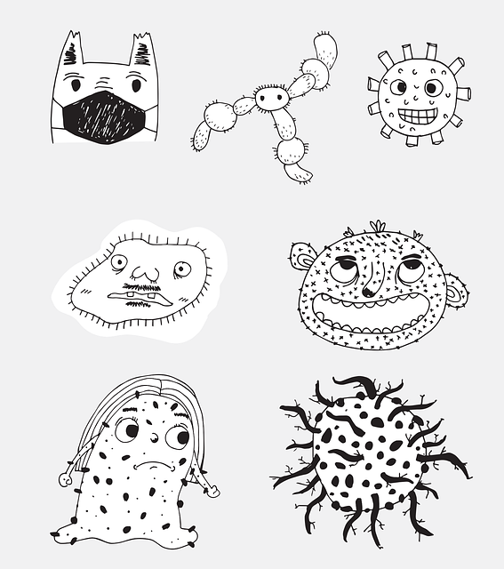 Free monsters characters cartoon vector