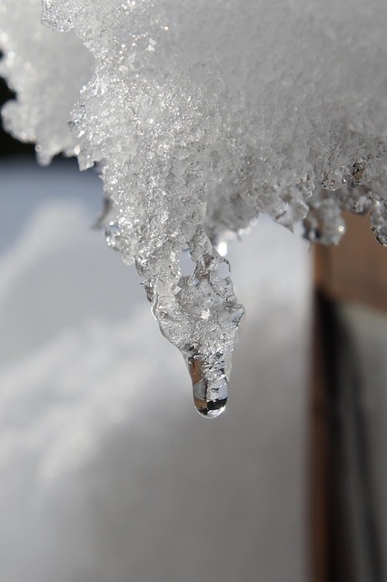 Free Ice Cream Icicle photo and picture