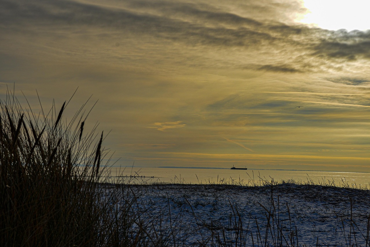 Golden Hour Sunset Nature - Free photo on Pixabay - Pixabay