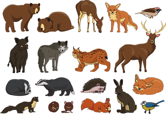 Free animal badger bear vector