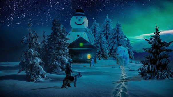 Hombre, Perro, Monigote De Nieve, Cabaña
