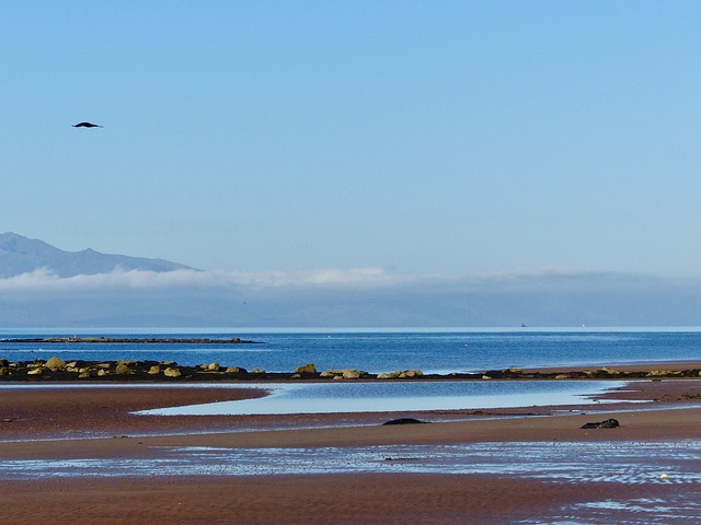 Free Scotland Coast photo and picture