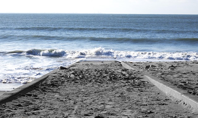 Free Beach Sand photo and picture