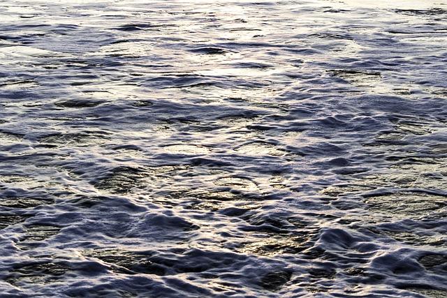 Free Ocean Sea photo and picture