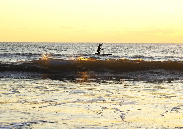 Free Paddle Ocean photo and picture