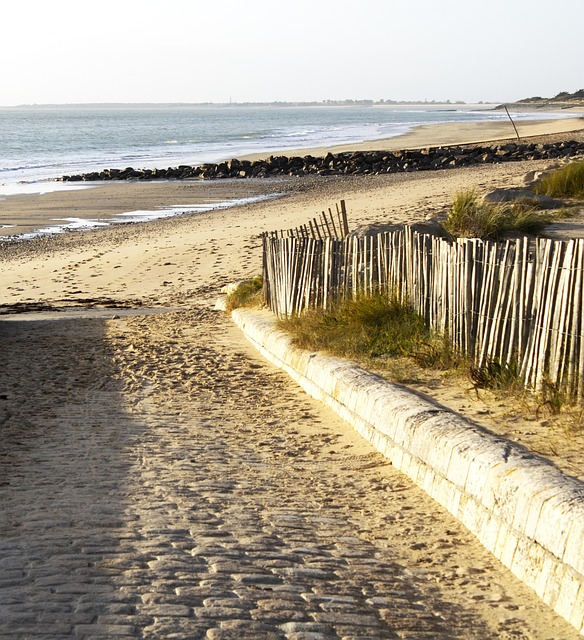 Free Beach Ocean photo and picture