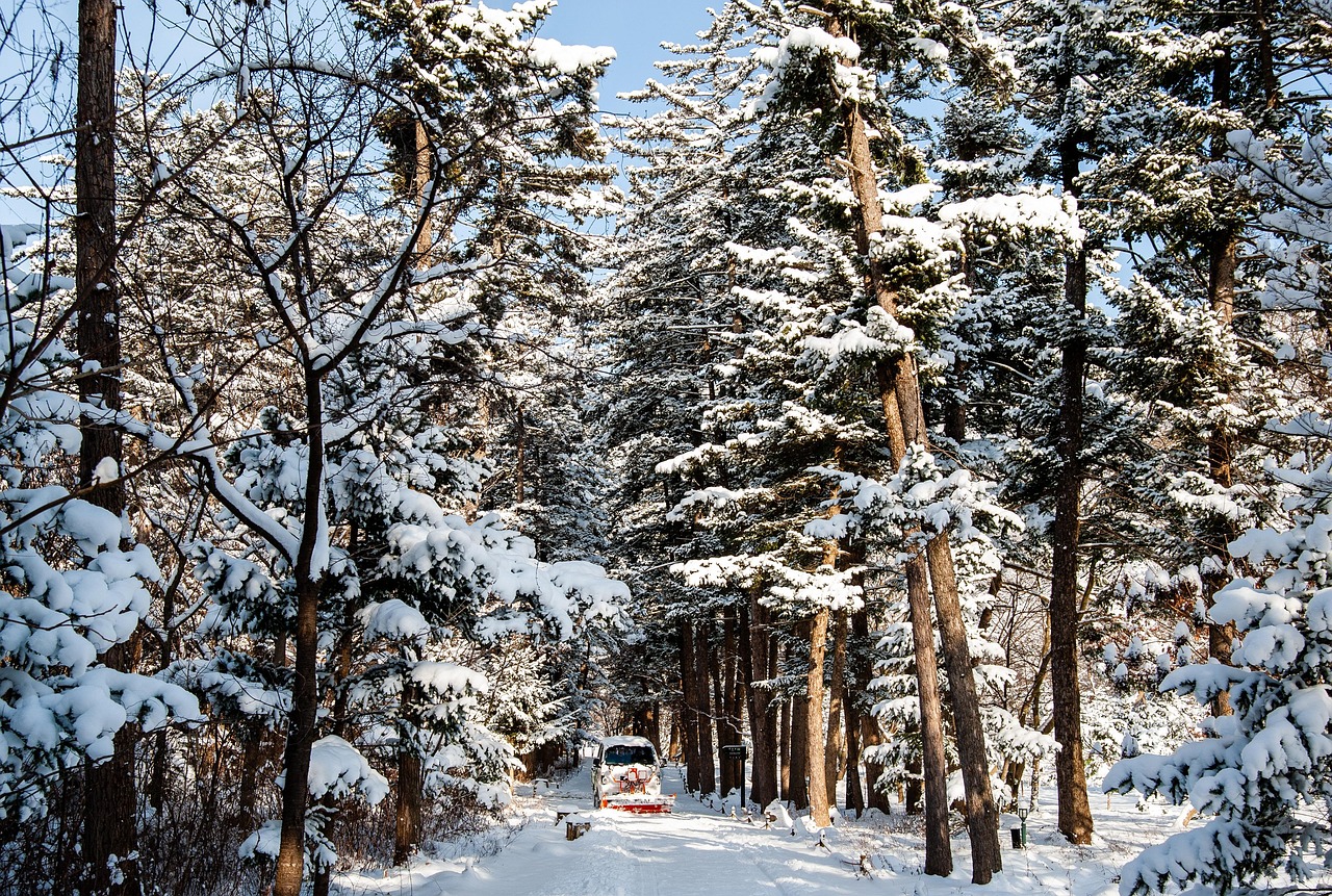 Korea Temple 겨울 - Pixabay의 무료 사진 - Pixabay