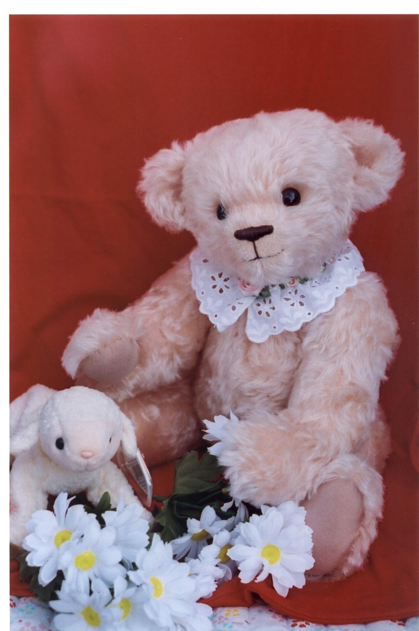 Bear Toy Teddy - Free photo on Pixabay - Pixabay