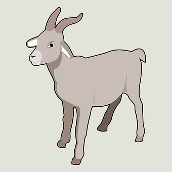 Koza, Farma, Zvířata, Rohy, Savci