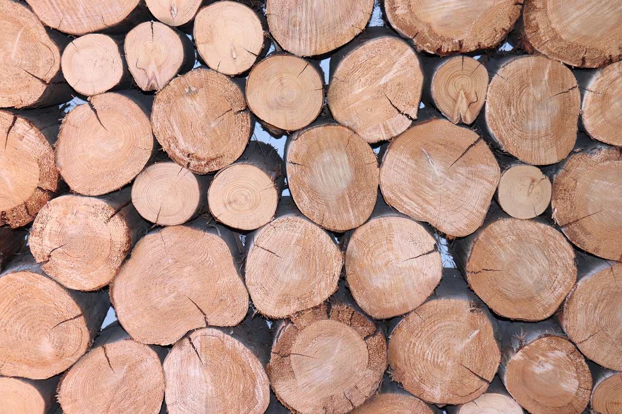 Wood Log Texture Free photo on Pixabay Pixabay