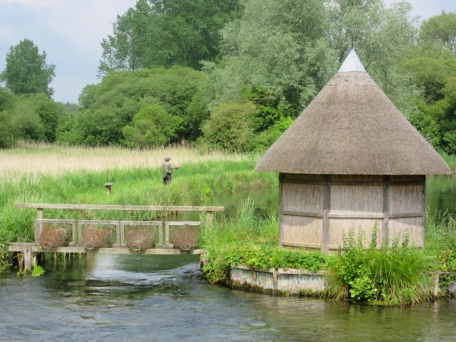Free River Test Trout photo and picture
