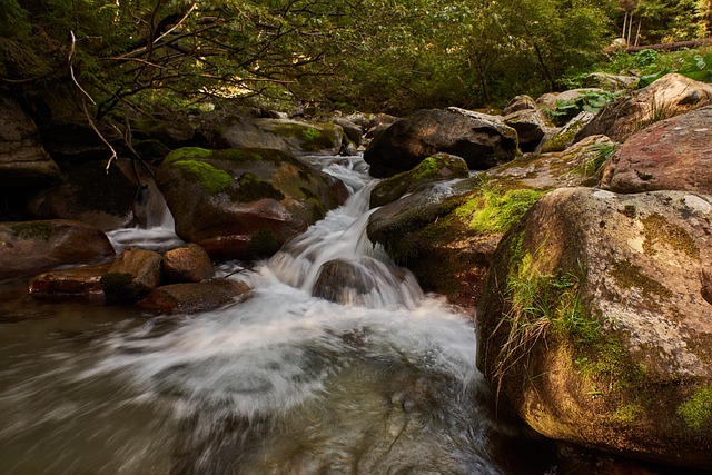 Free Water River photo and picture