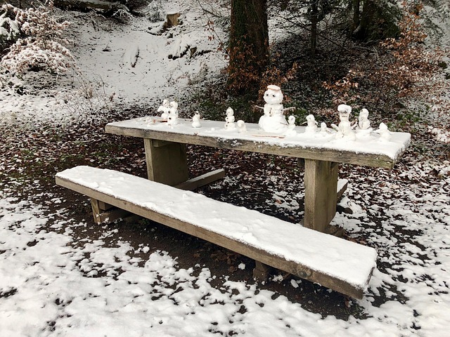 Free Snowman Snowmen photo and picture