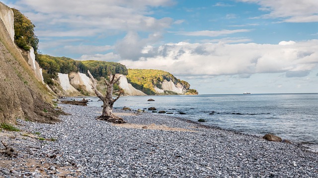 10+ Free Ruegen Island & Nature Images - Pixabay