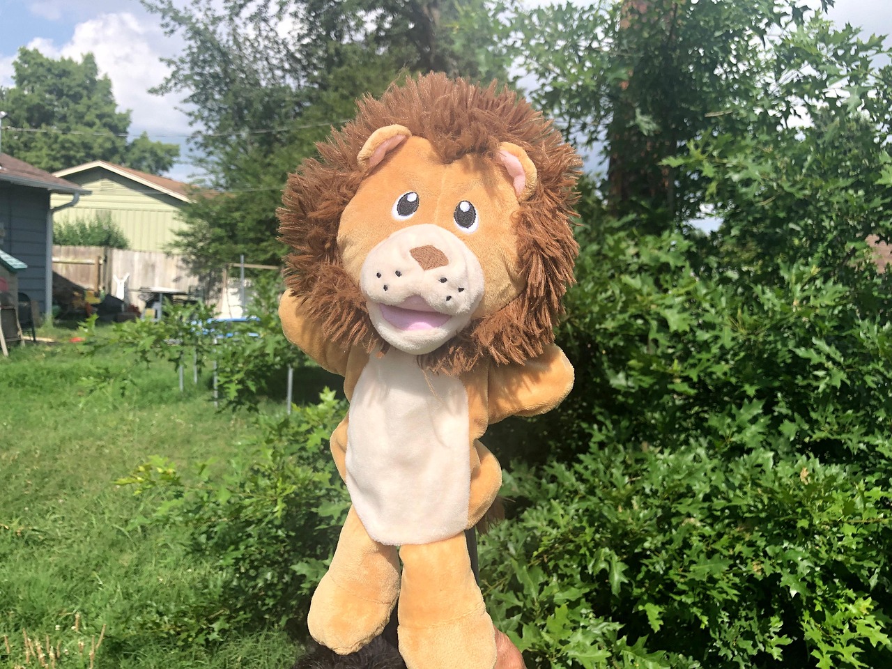 Lion Fury Free Photo On Pixabay lion-fury-free-photo-on-pixabay