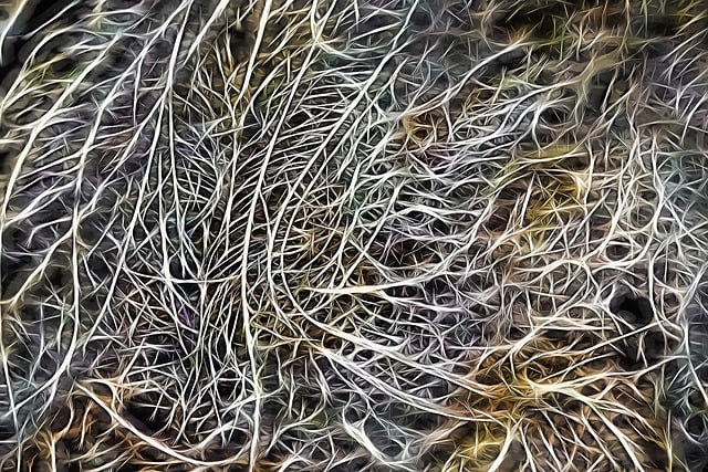 Free abstract drawing neurons illustration