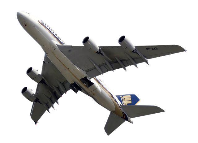Free flight plane airline illustration