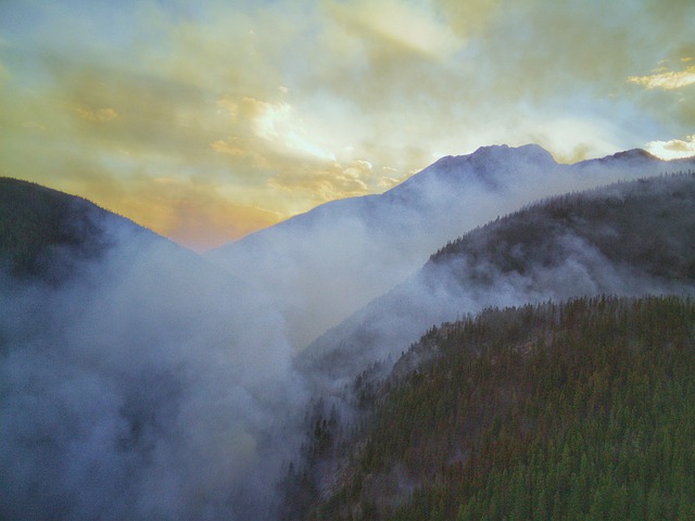 Free Forest Forest Fire photo and picture
