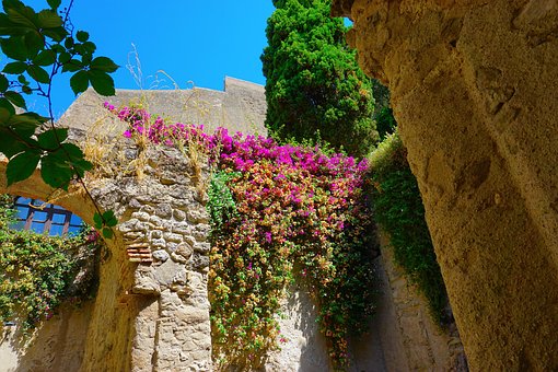 Free Ruins Castle photo and picture