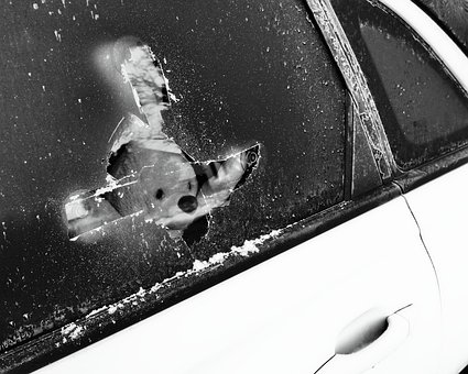 Hase, Eis, Auto, Fenster, Kalt, Allein